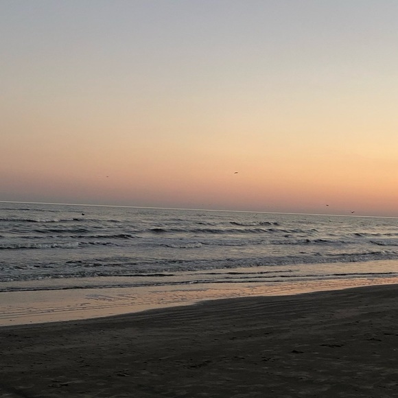 Meet your Posher, Christopher - Picture 1 of 1